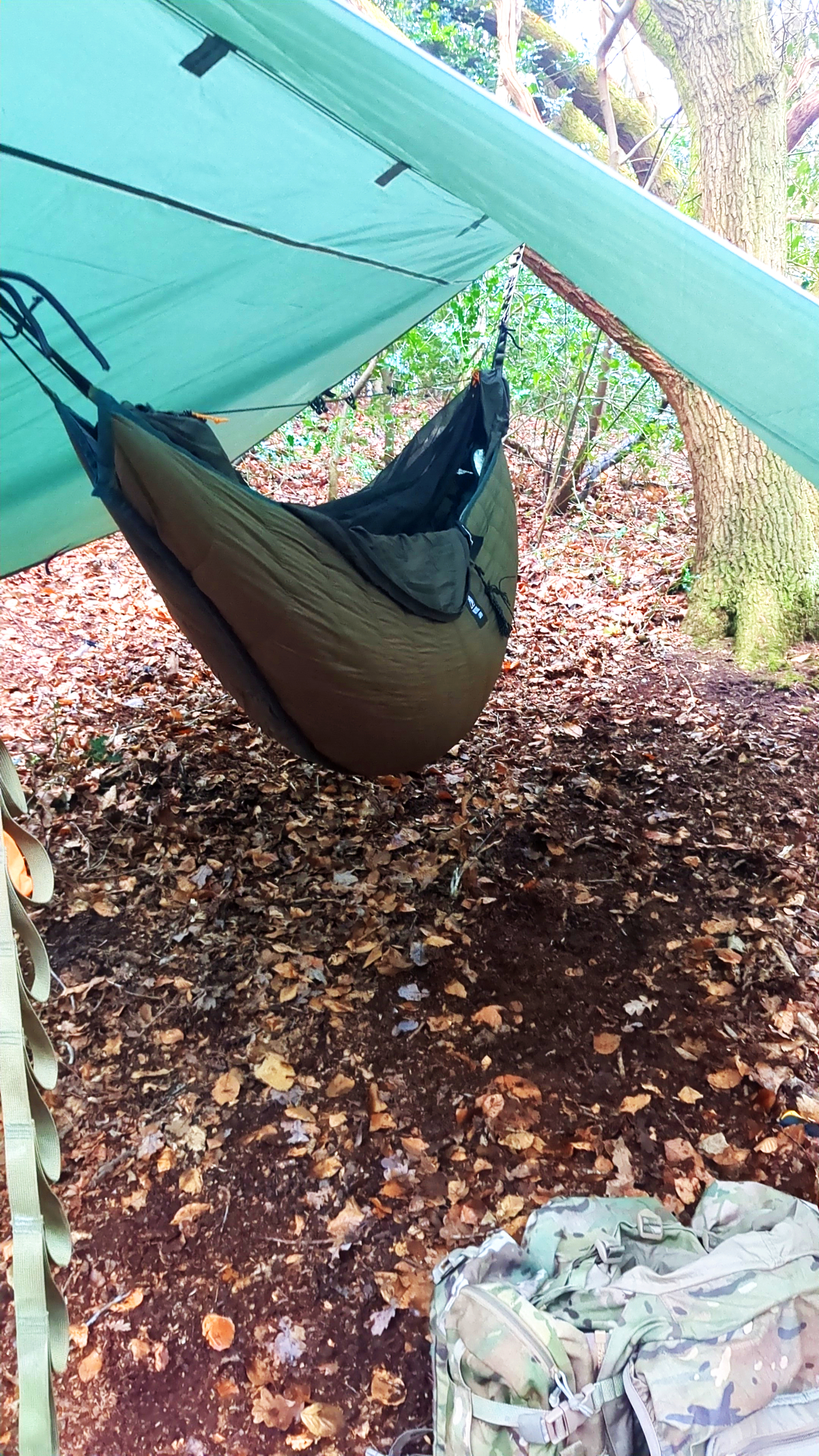 the tea shop in frimely